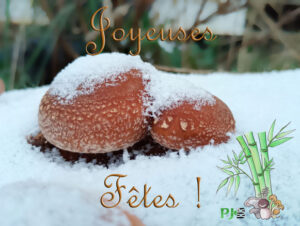 Joyeuses fêtes du PJB