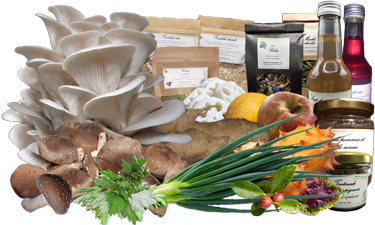Produits du PJB